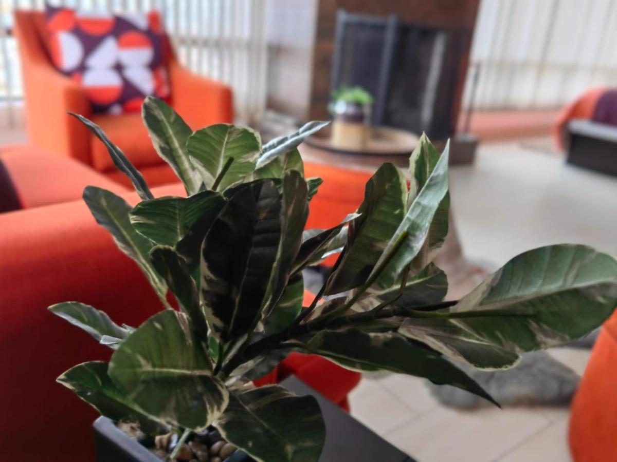 Hotel Casa Cacho Tijuana Zewnętrze zdjęcie